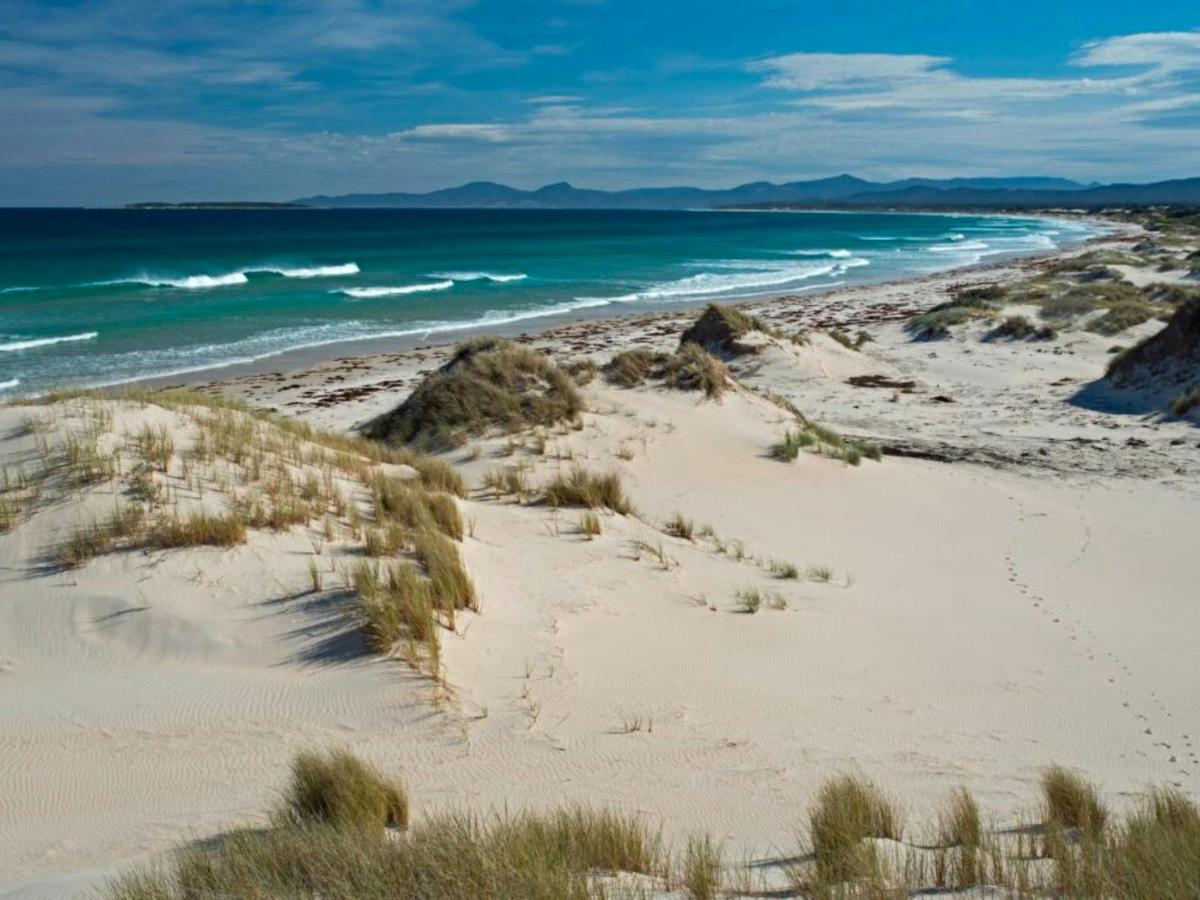 Embrace the serenity of North West Tasmania's pristine coastline, a tranquil escape for the soul.