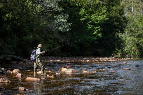 Fishing in Kentish