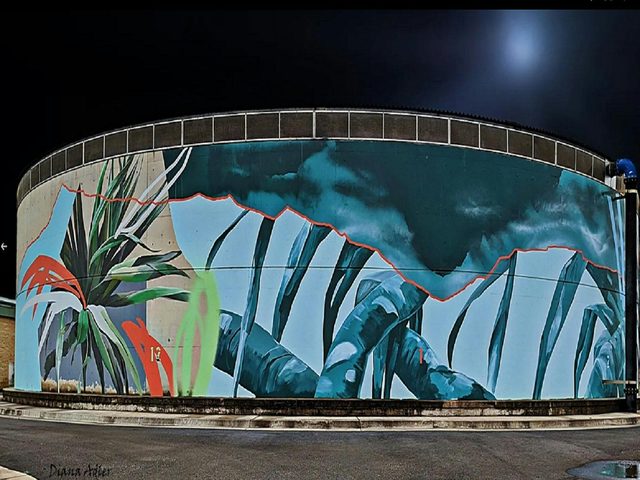 Ballina Water Tank Art