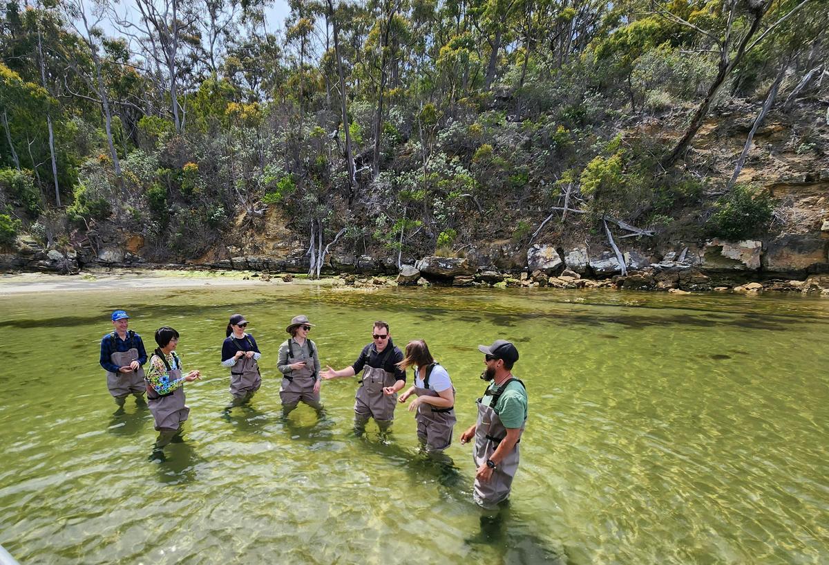 Guests wading in the water