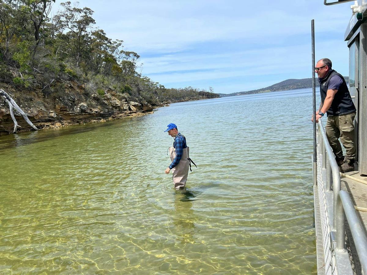 Wading into crystal water, taking in calm views and seaside serenity