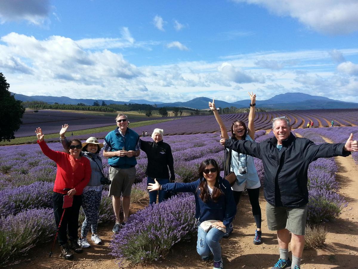 Bridestowe Lavender Farm shuttle service