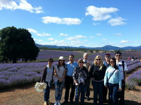 Bridestowe Lavender Farm shuttle service