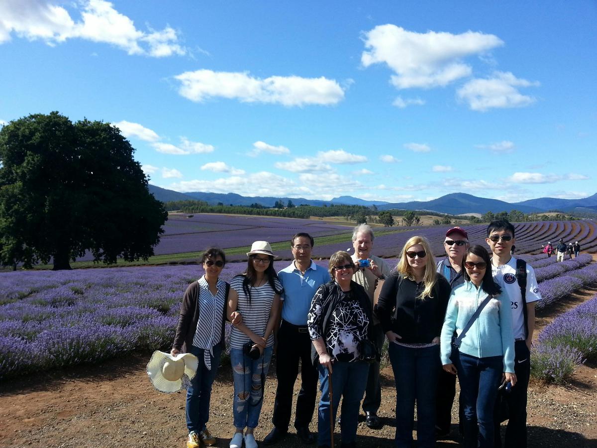 Bridestowe Lavender Farm shuttle service