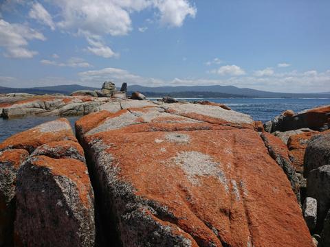 Coach Tours Tasmania