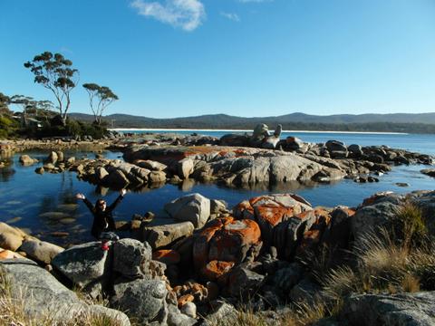 Bay of Fires Day Tour