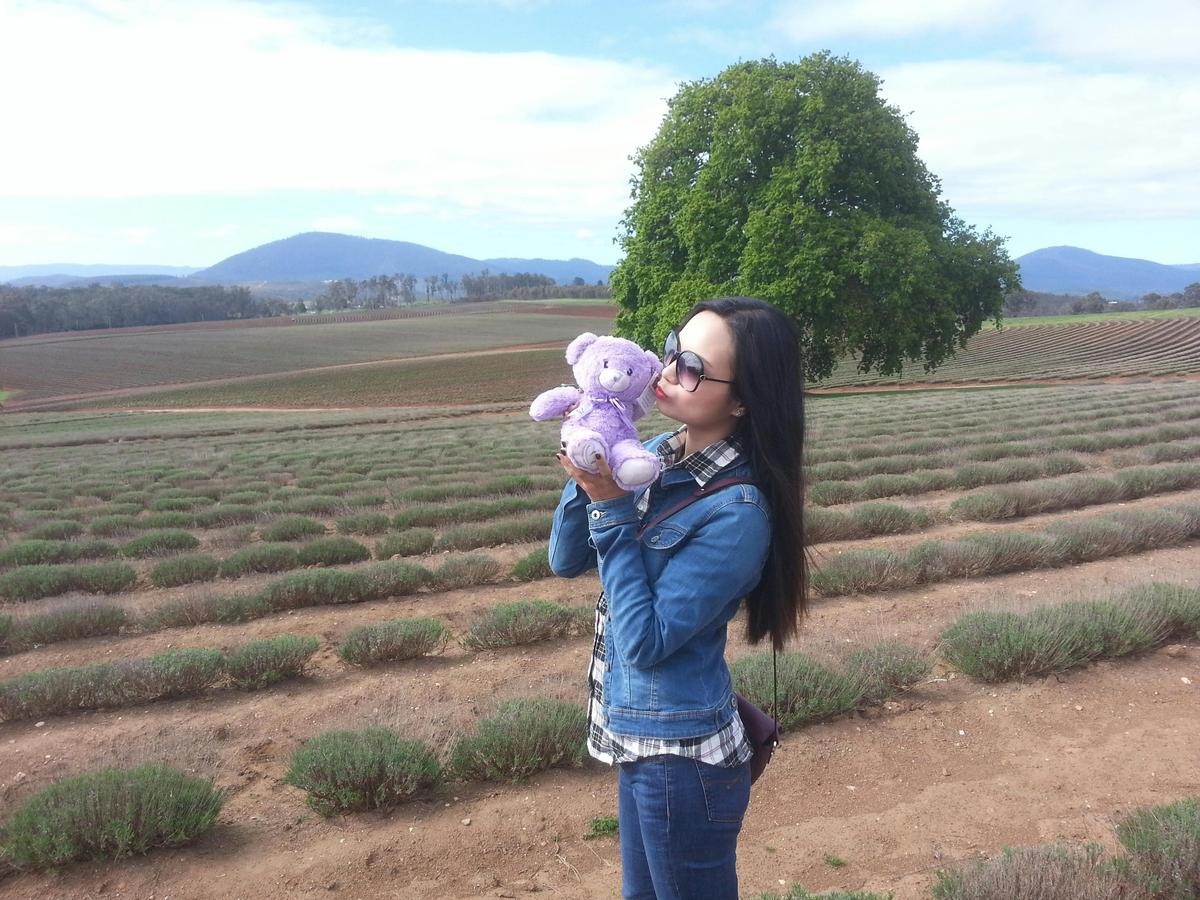 Bridestowe Lavender Farm shuttle service