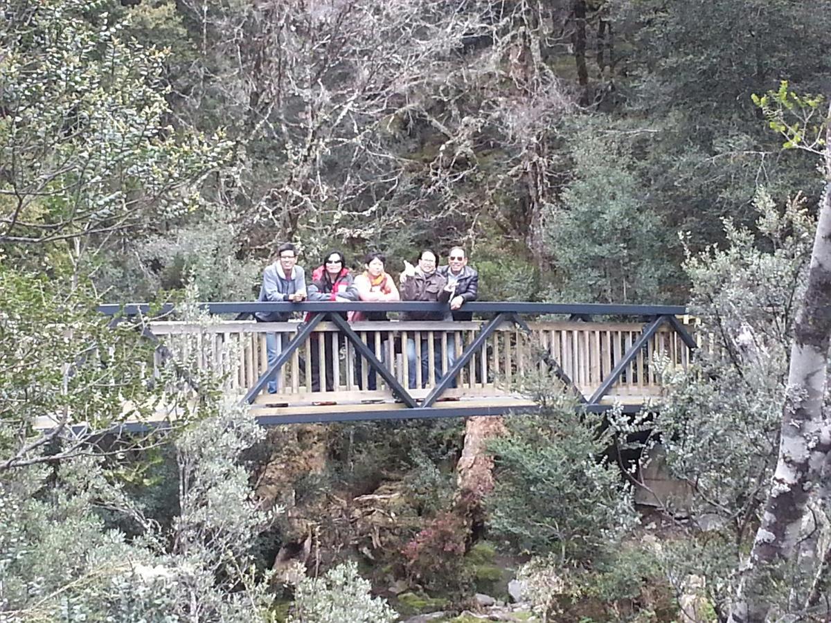 Cradle Mountain Day Tour