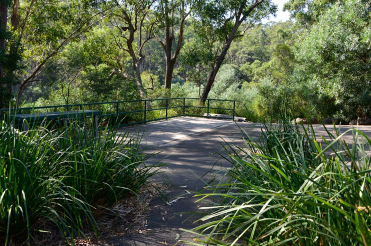 Simmos Lookout