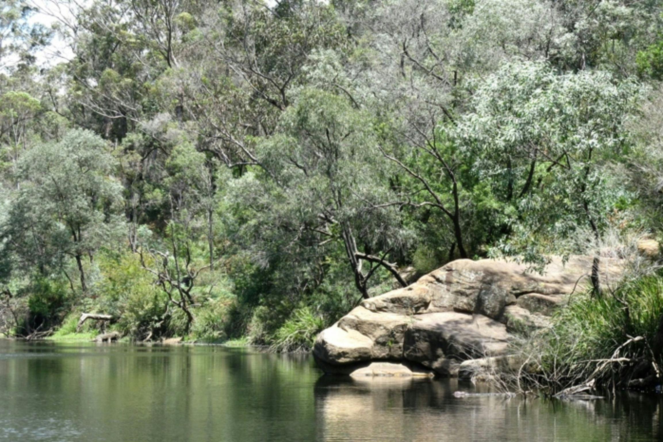 Simmos Reserve