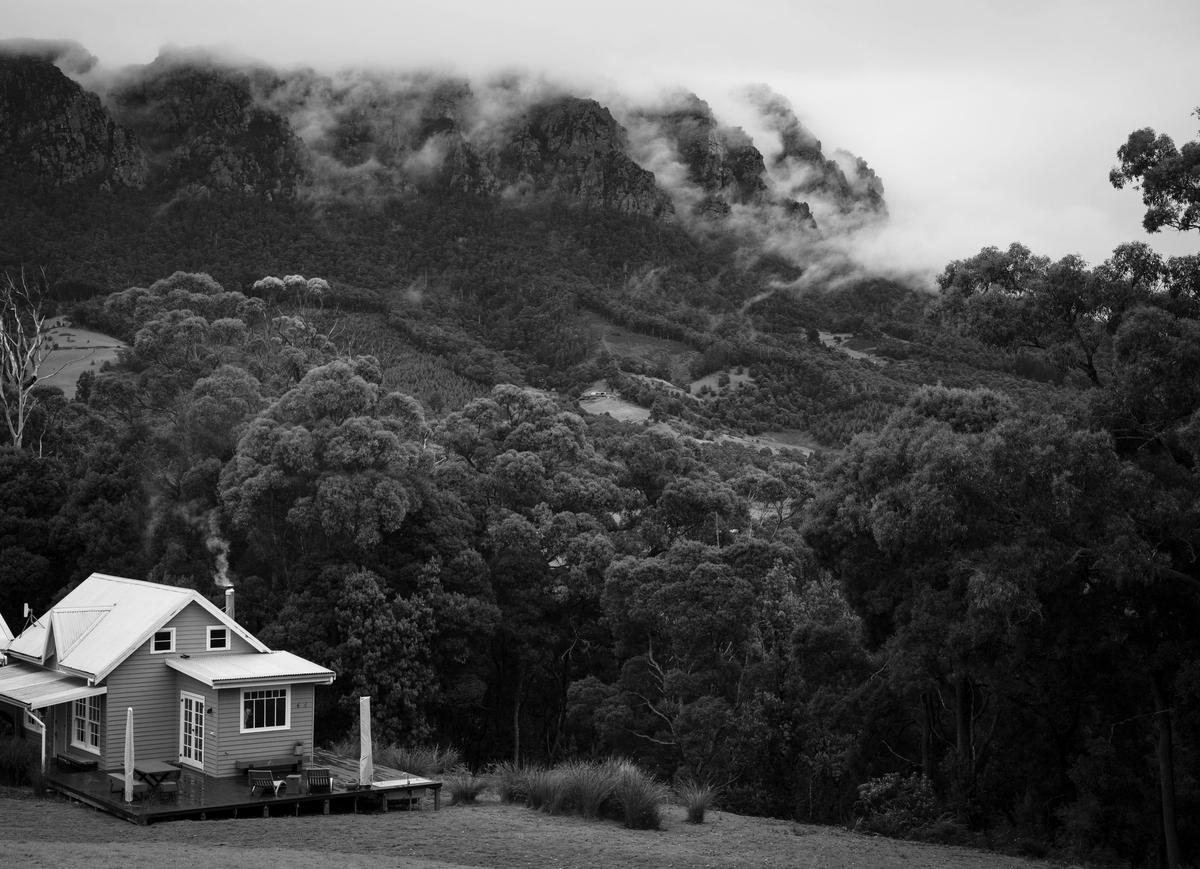 Cabin next to a first with mountain covered in mist