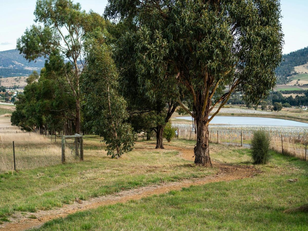 Brinktop Reserve 2