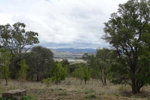 Brinktop Reserve and Richmond Park Track