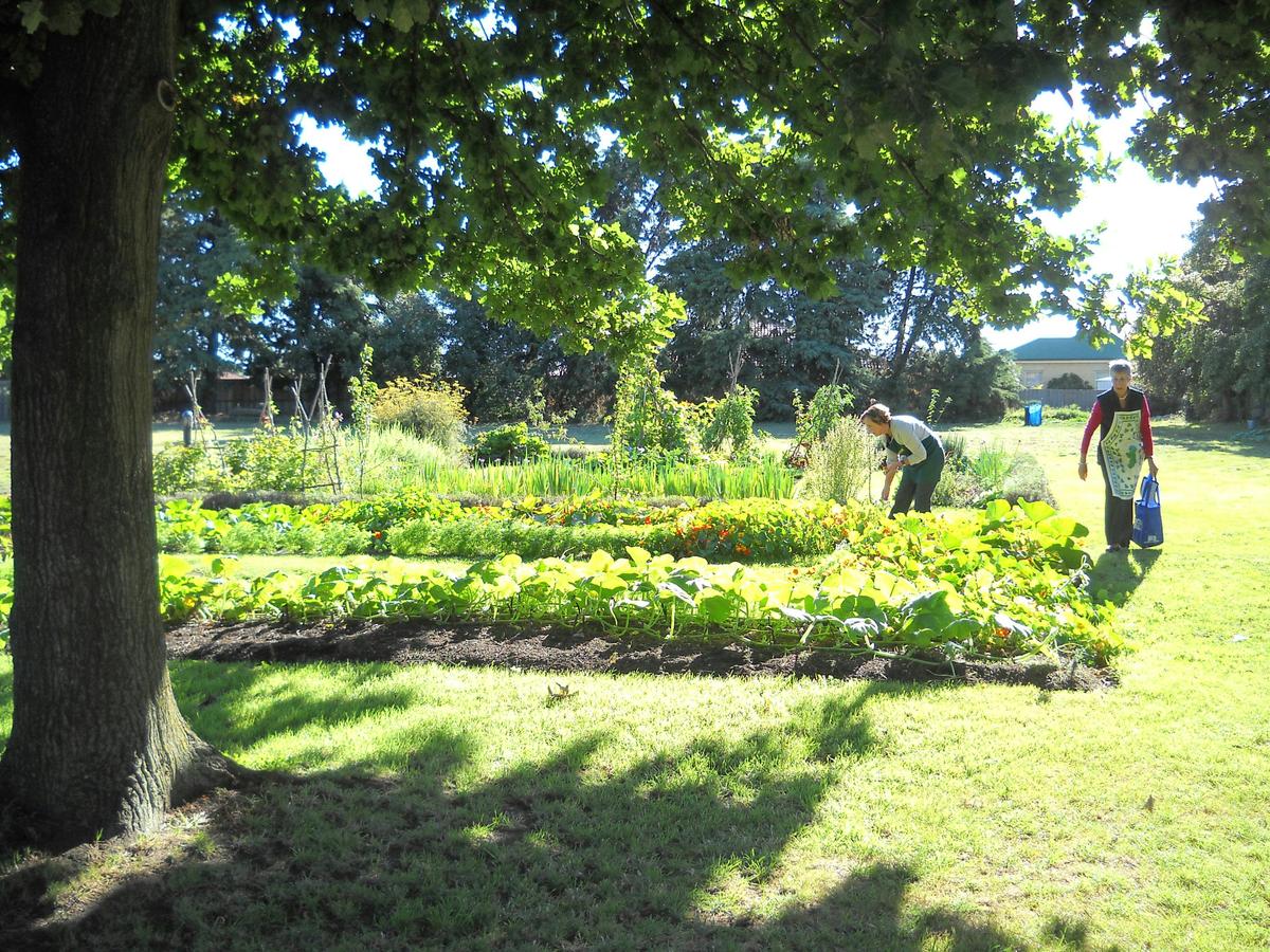 Franklin House kitchen garden