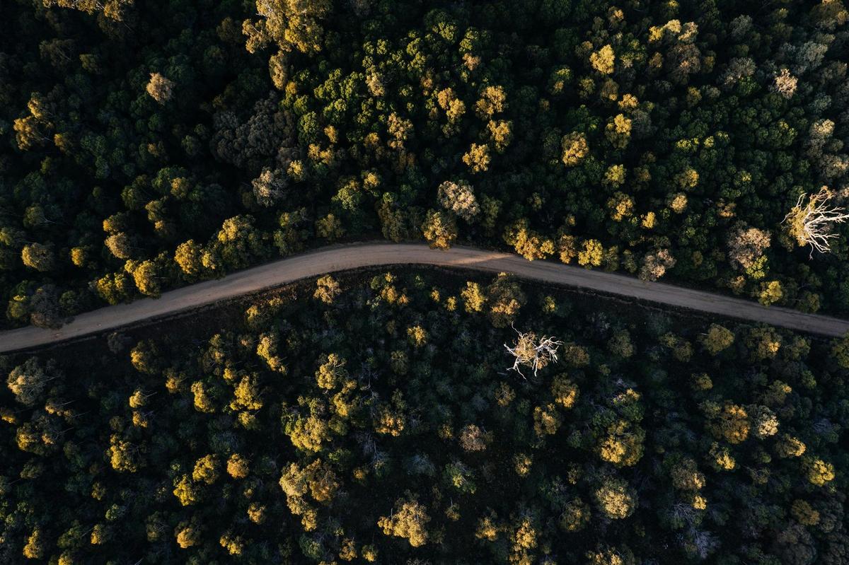 Birds'-eye View of Our Site