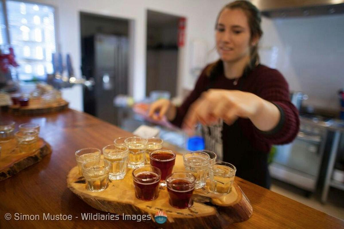 Free tastings of Frank's multi award winning ciders.
