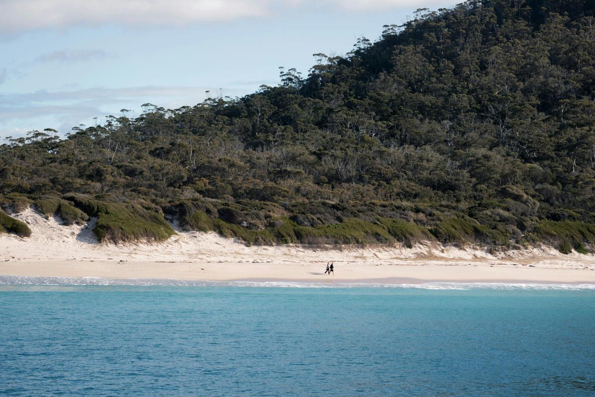 11 Day Full Loop Tasmania Tour