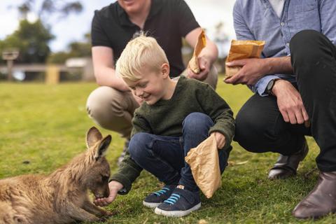 Inclusive Day Trips