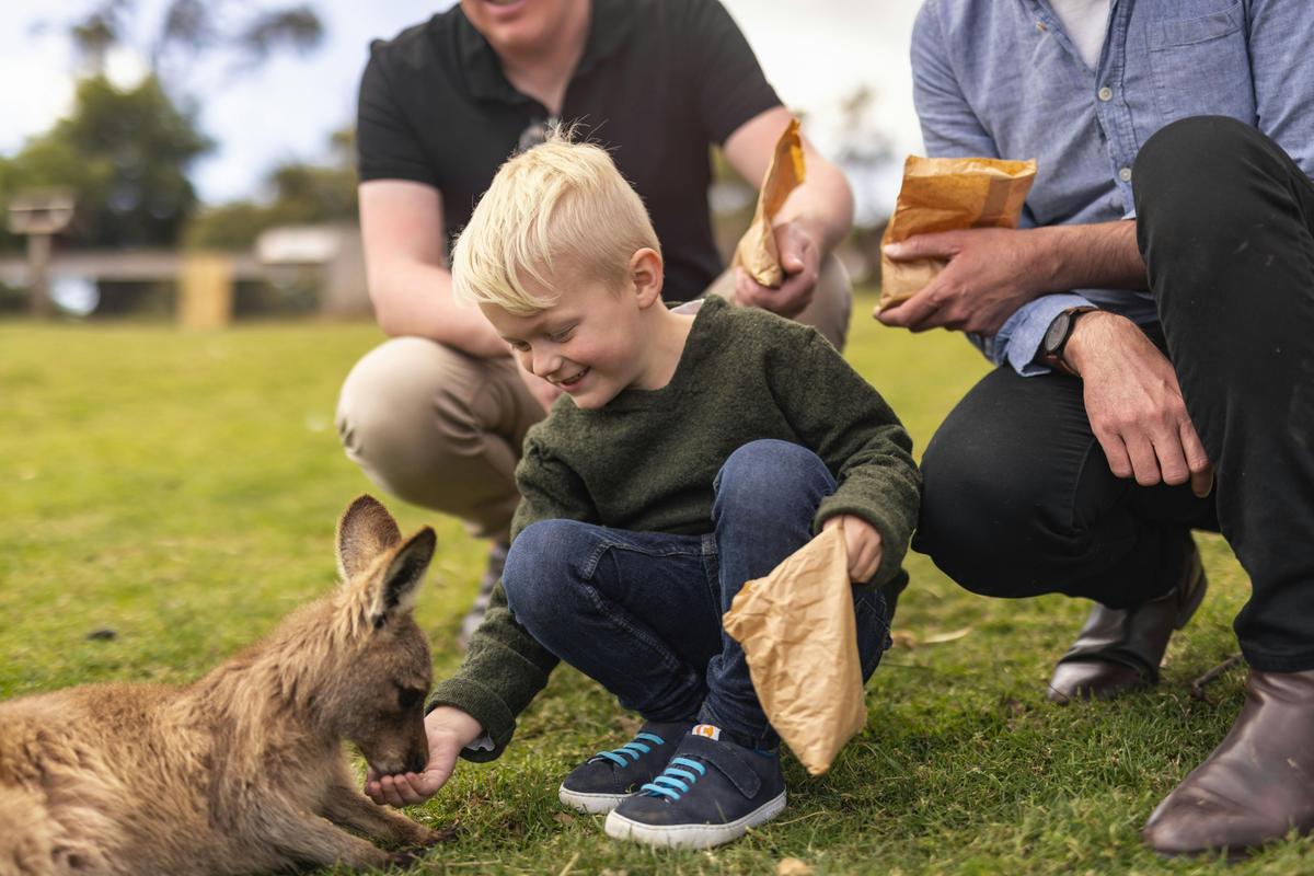 Inclusive Day Trips