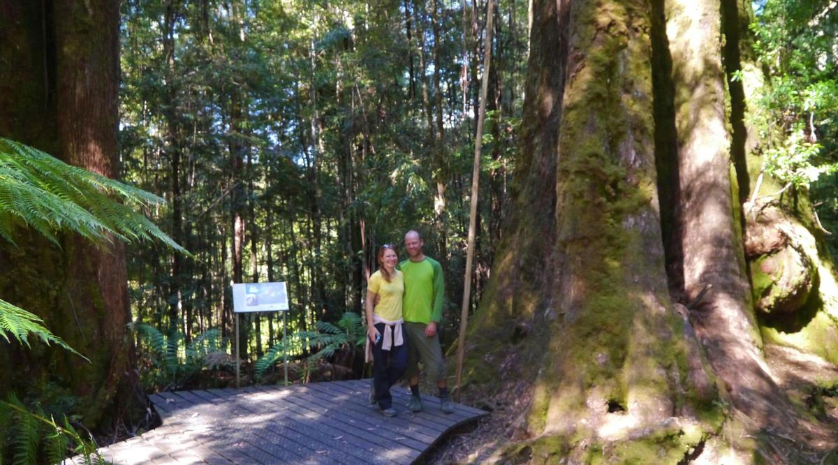Two adventurers meet a ancient tree at the easy-access Big Tree Reserve