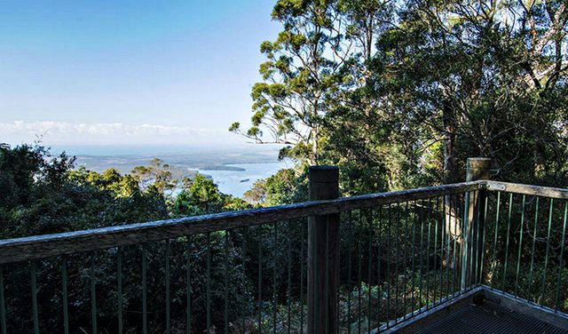 Rainforest Loop, Dooragan National Park