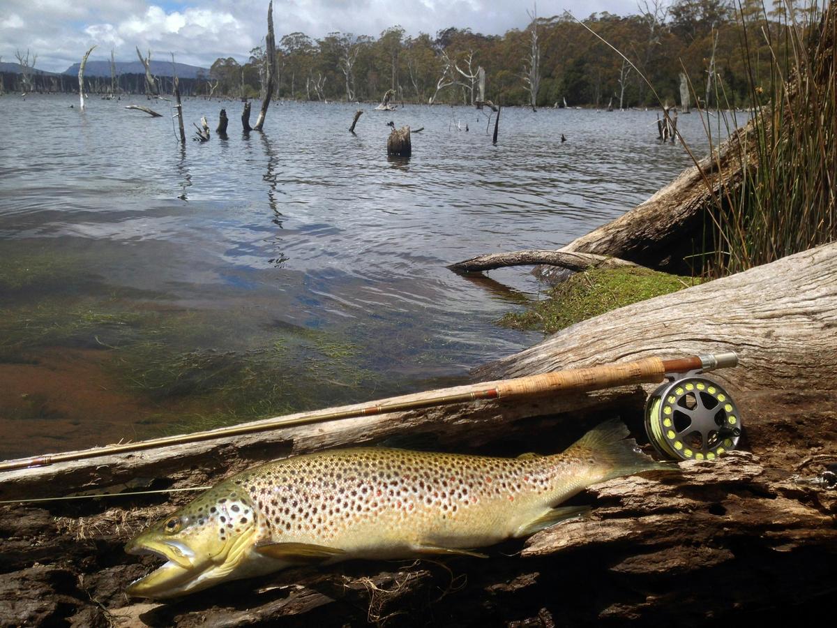 Multi Day Trout Fishing Tour
