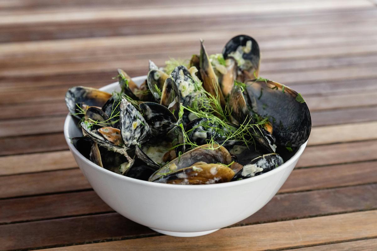 Mussels from our farm, Moules Marines