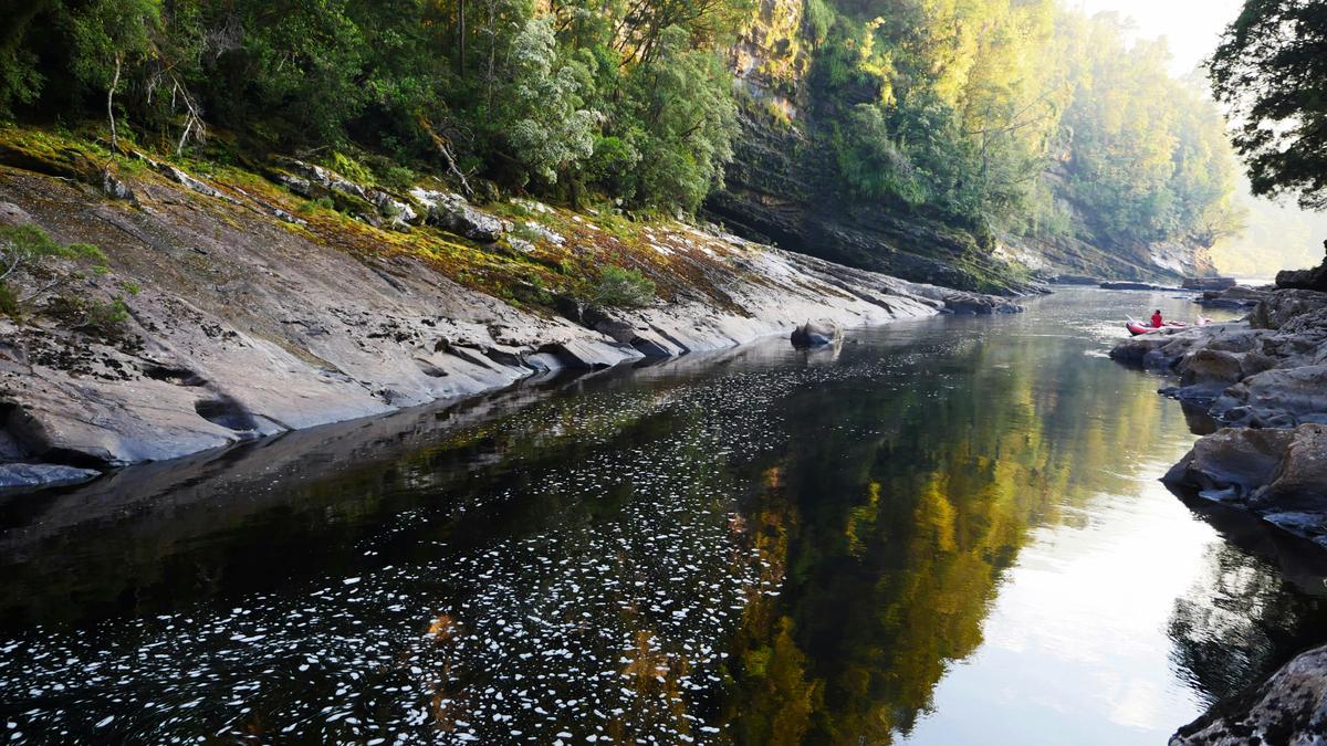 Good morning from the river