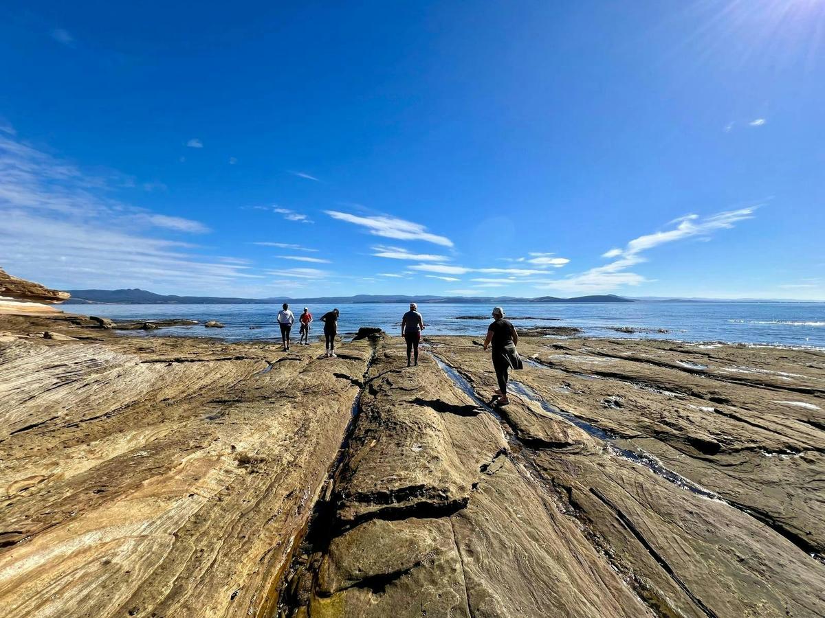 Tasmania Explorer