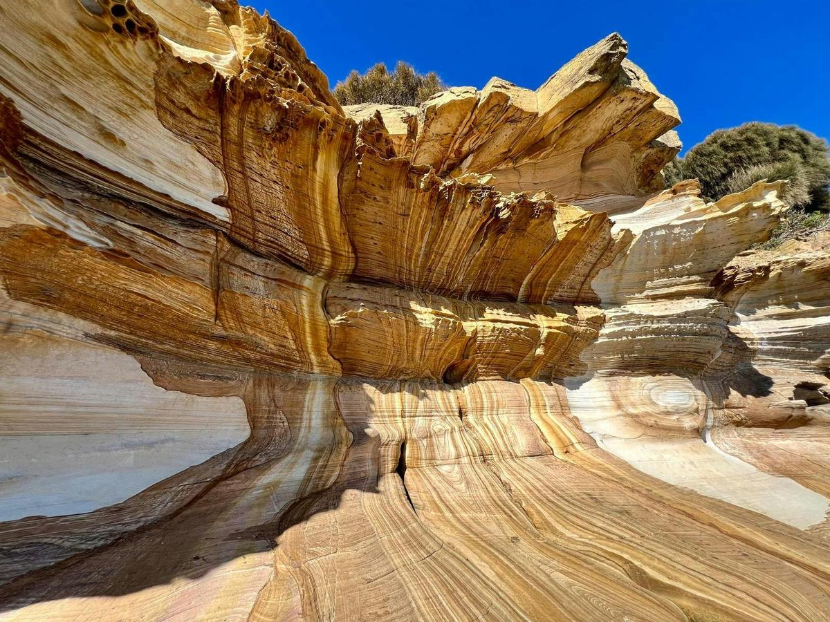 Tasmania Explorer