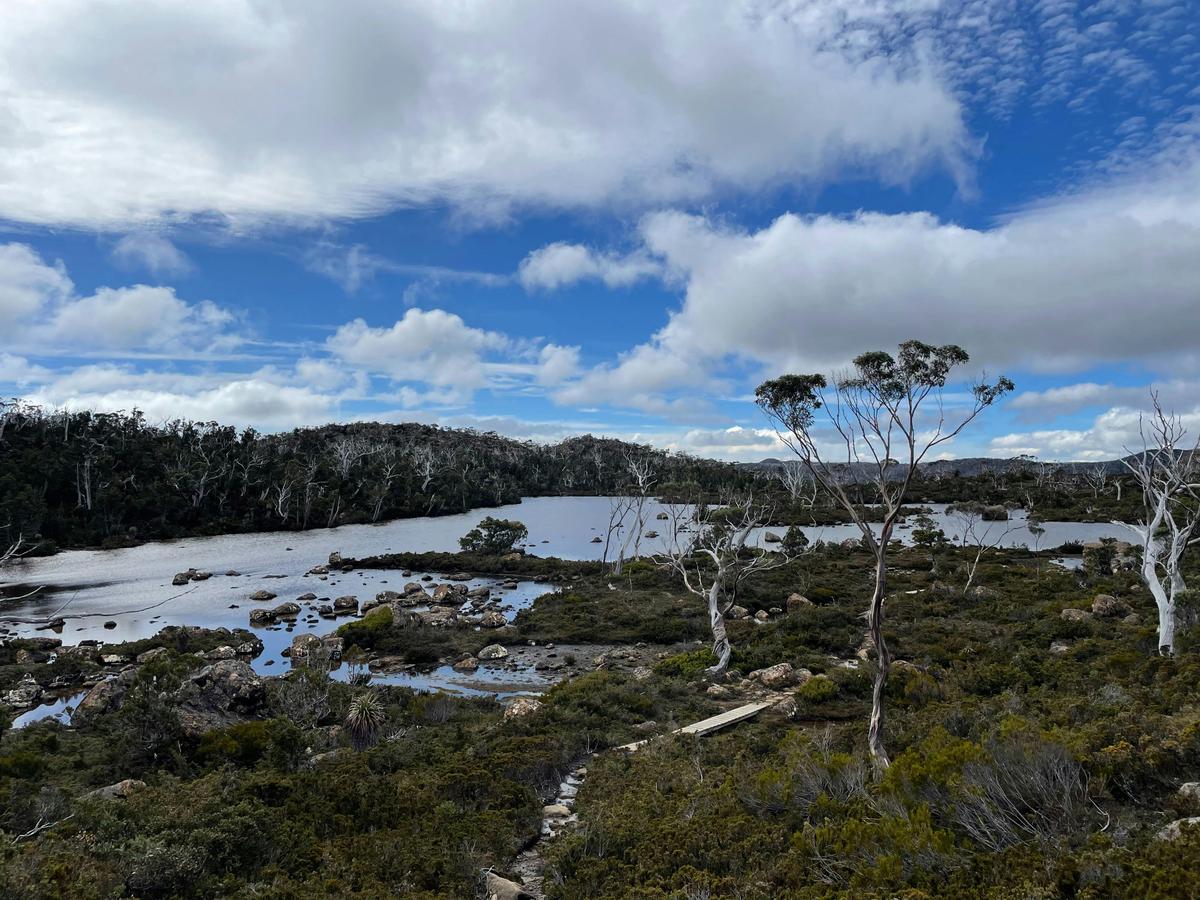Tasmania Wild Gourmet