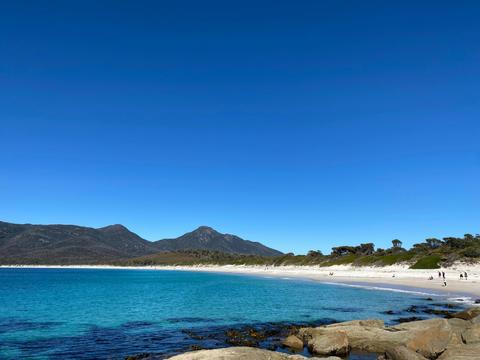Tasmania Explorer