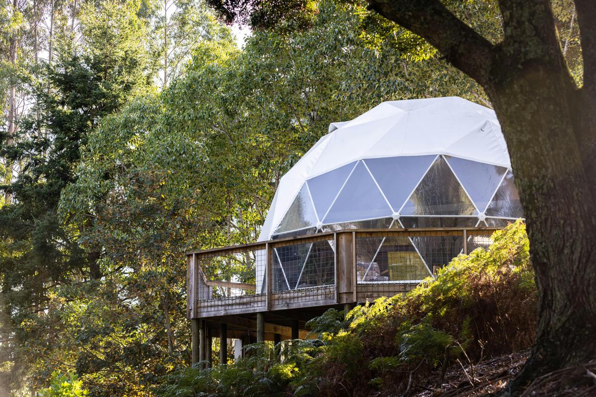 Fir's End & Wollemi Rise domes