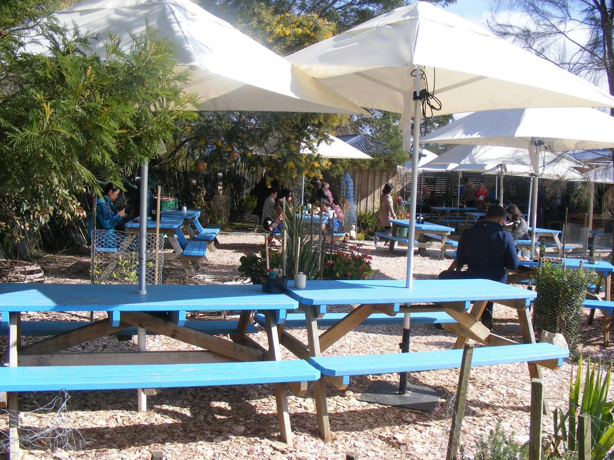 Casual farm gate cafe offering our oysters and mussels along with local seafood, wine and beer
