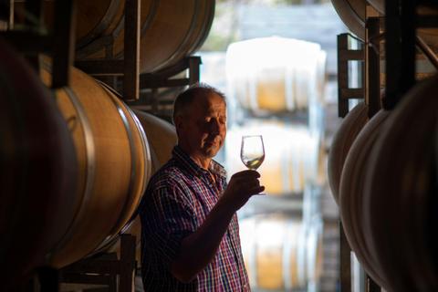 Freycinet Vineyard