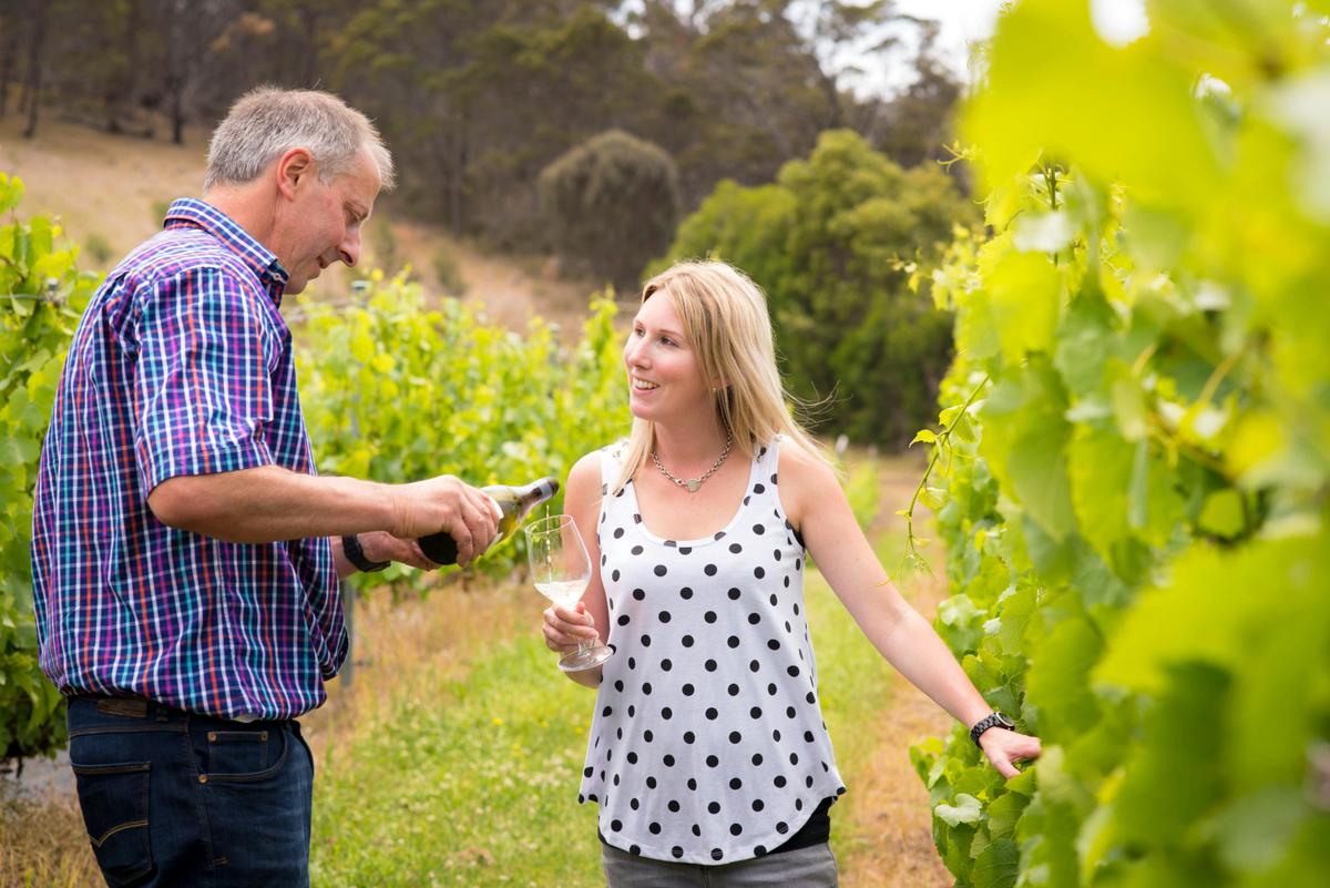 A wine tasting in the vines at Freycinet Vineyard