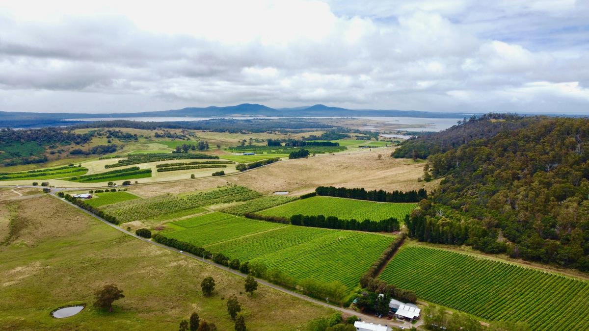 An aerial view of Freycinet Vineyard