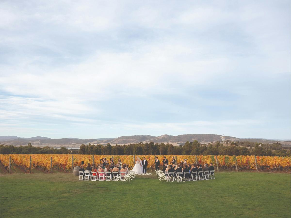 Autumn wedding ceremony in front of the vines.
