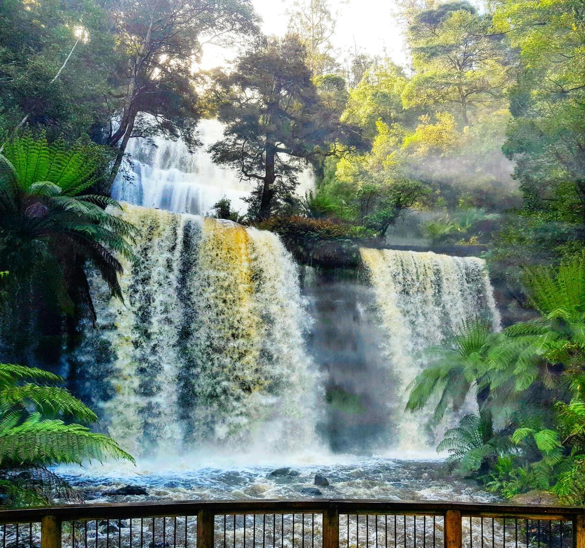 Russell Falls in flood.