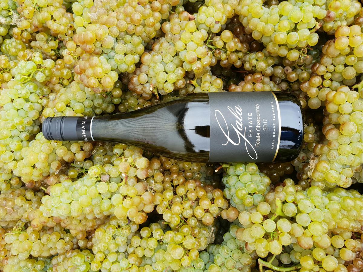 Chardonnay in it's natural environment