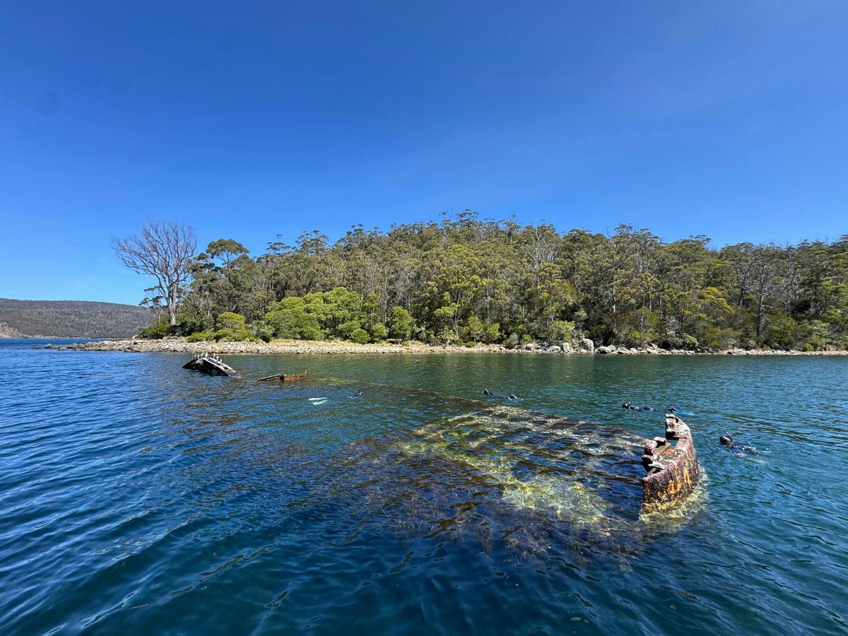 Snorkelling Tour