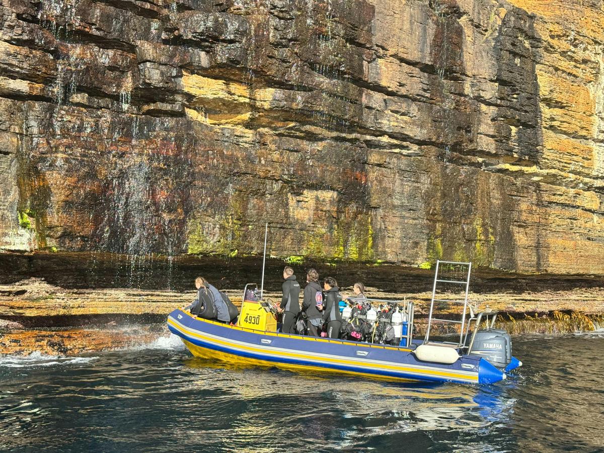 Go Dive Tasmania Boat in Waterfall Bay