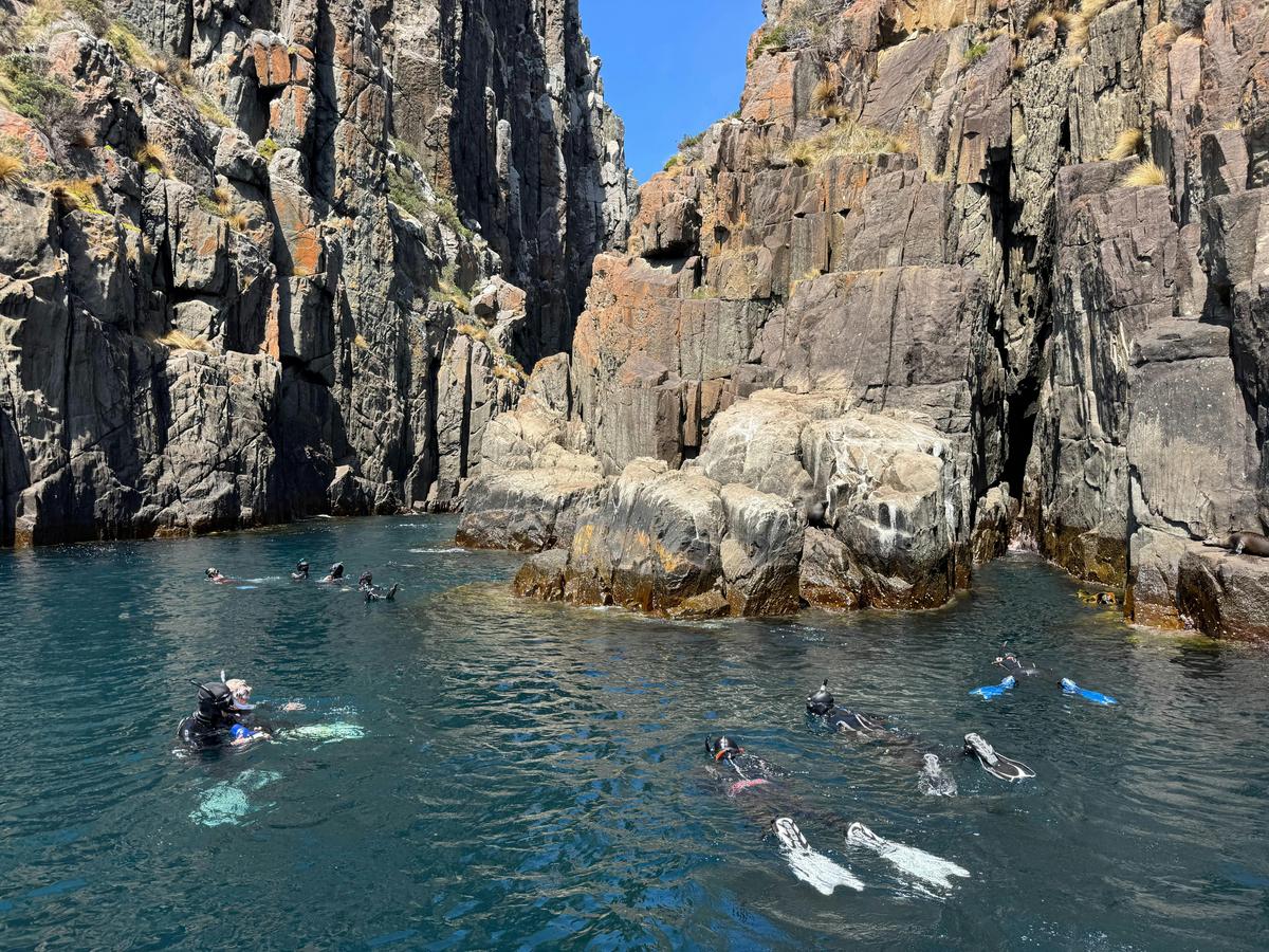 Snorkelling Tour