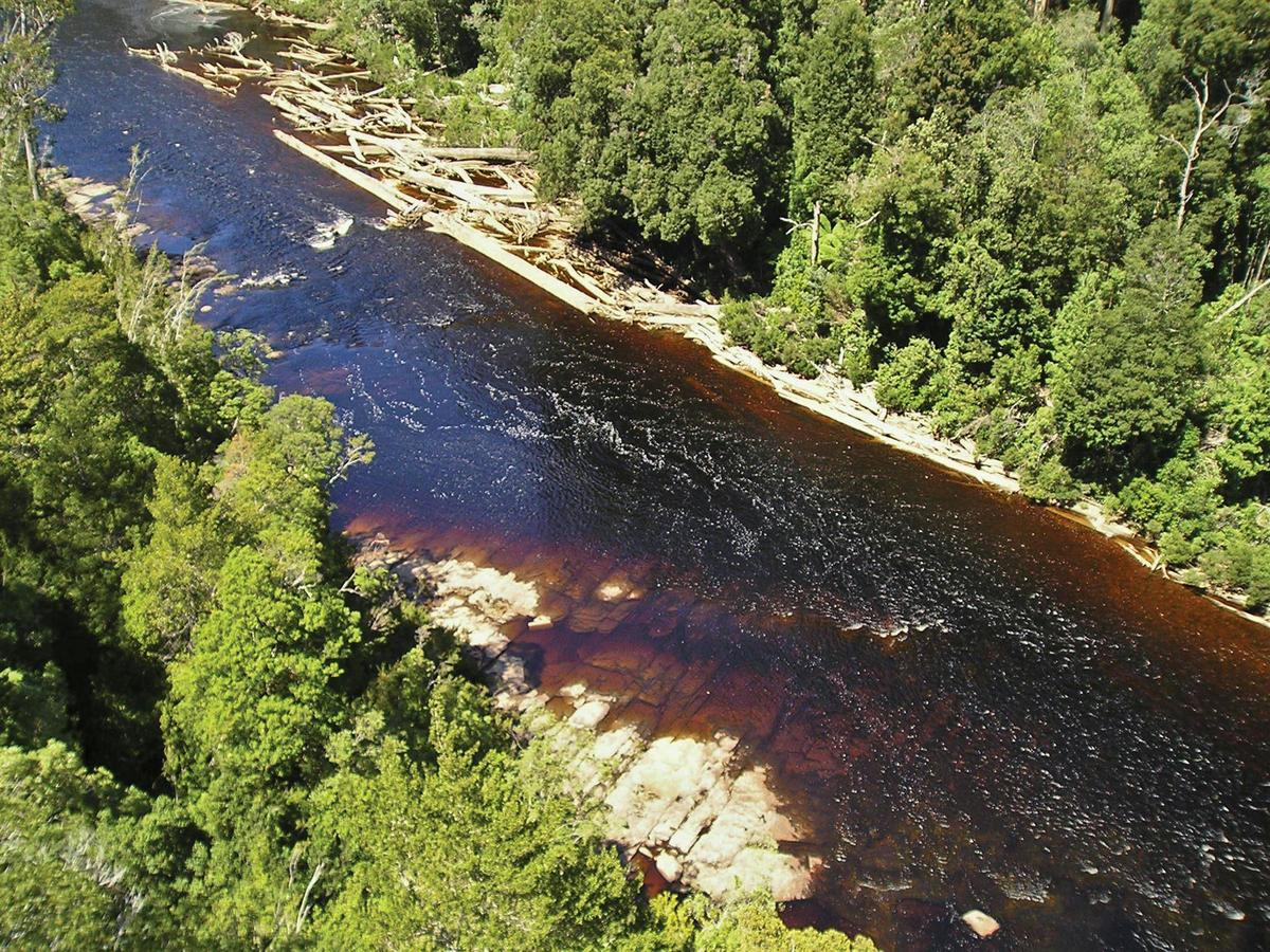 Huon River from Tahune Airwalk walkway