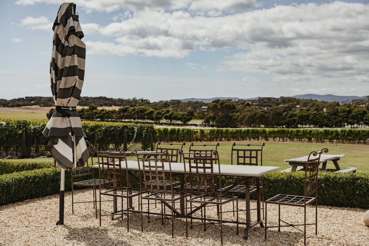 View outdoors overlooking the vineyard