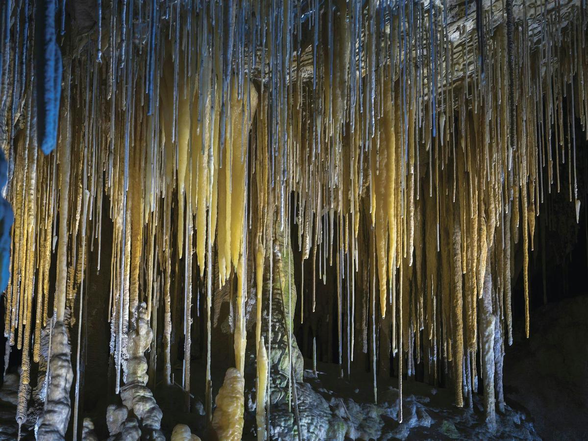 Hastings Cave