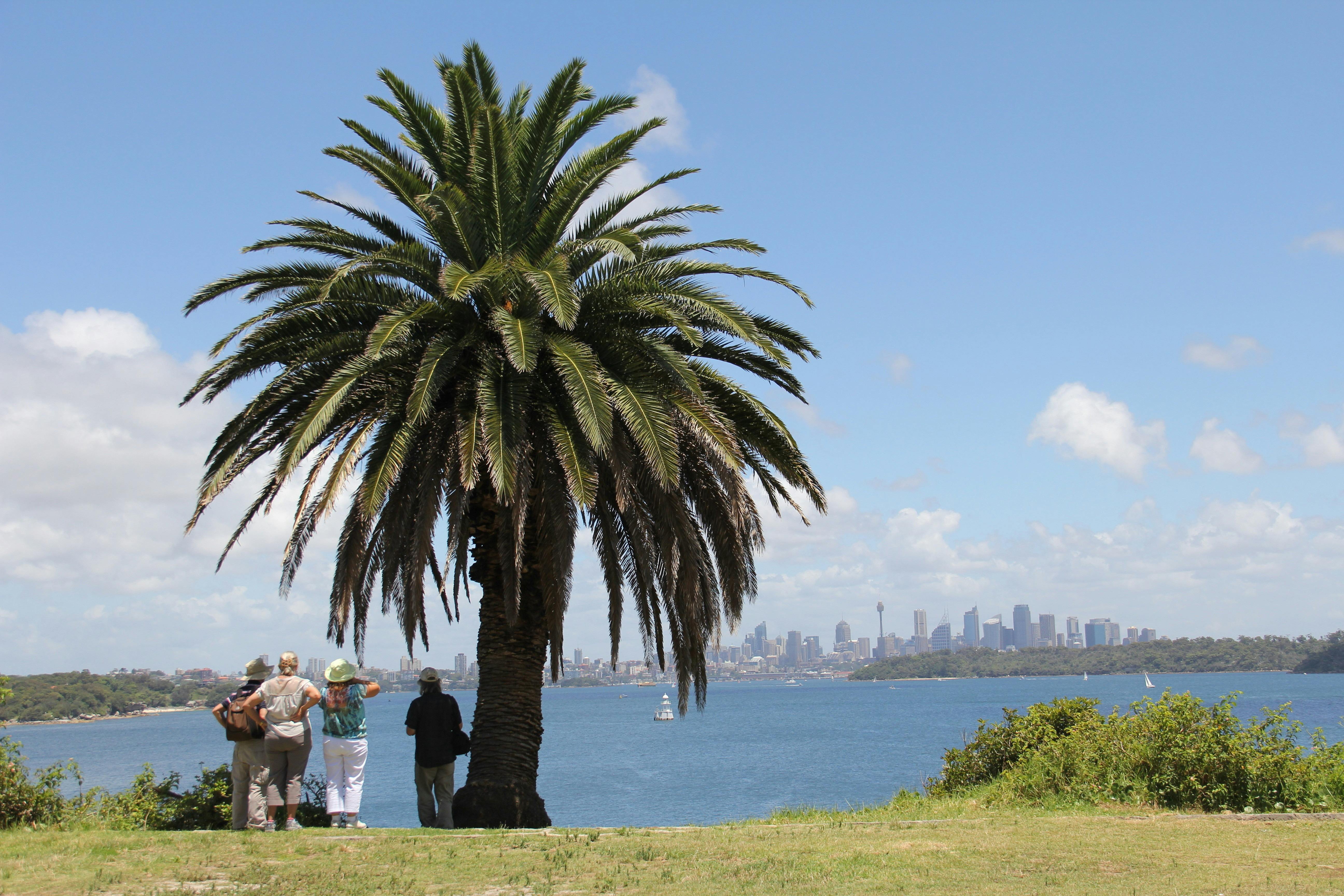 South Head Heritage Trail Sydney Harbour National Park