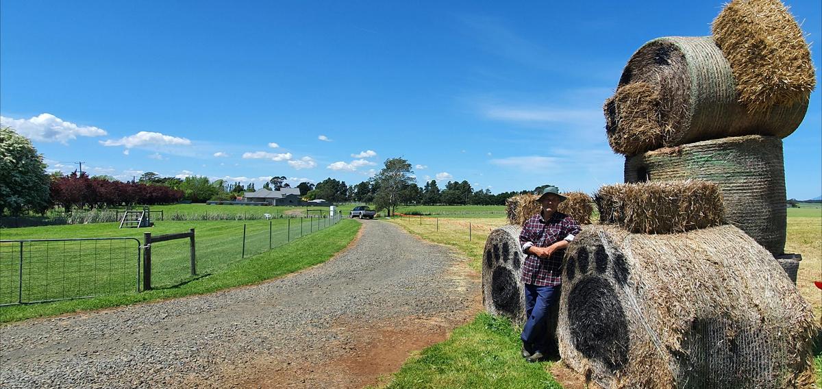 Hagley RV Farm Stay mascot - Big Ted with Stephen Camino
