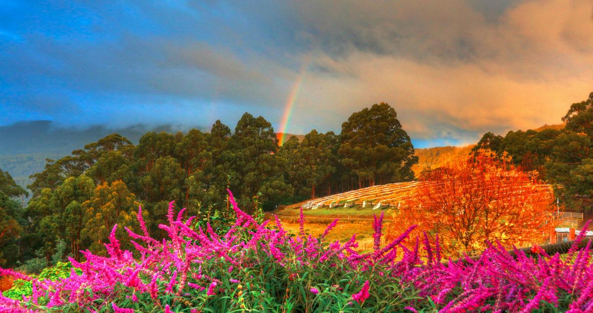 Lovely views at Hartzview Vineyard