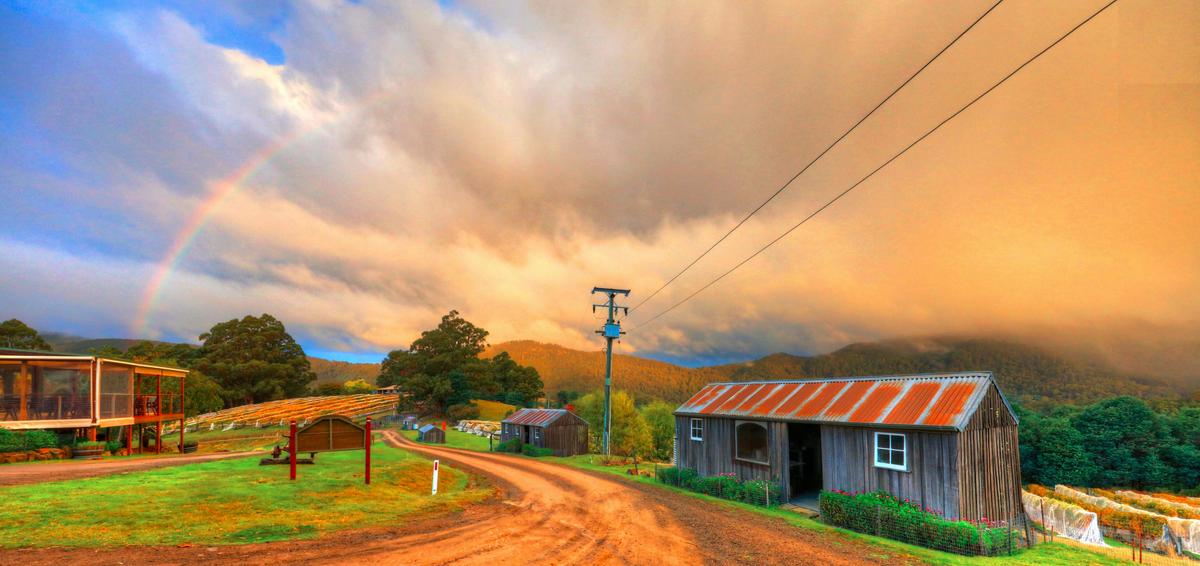 Take a self guided tour through Hartzview's quaint pickers hut village